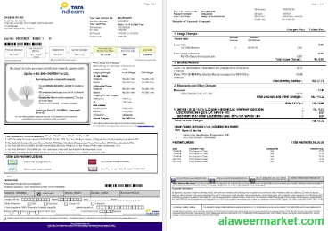 India Tata Indicom mobile business utility bill template in Word and PDF format, 2 pages